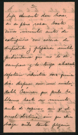 Carta enviada por Luis F. [Arauz] en la que comenta el lamentable estado y últimas horas de desfalleciemiento de su amigo